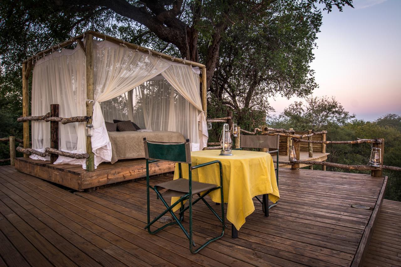 فيلا Garonga Safari Makalali Game Reserve المظهر الخارجي الصورة